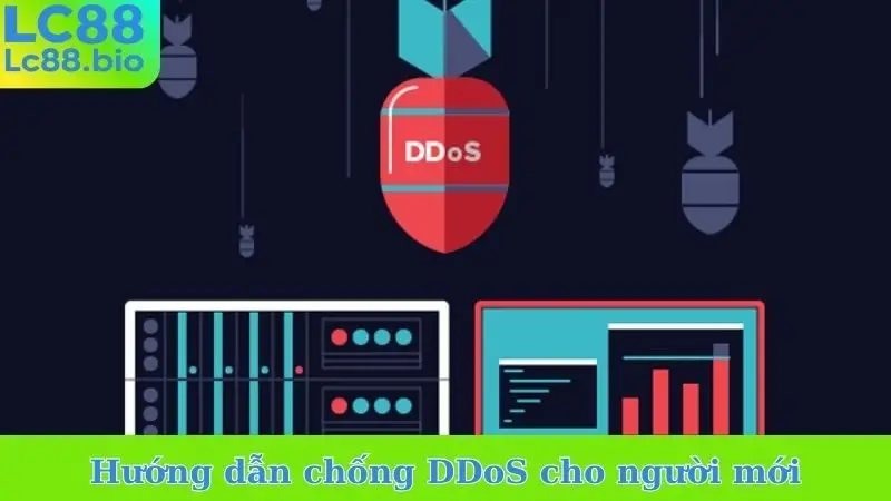 Hướng dẫn chống DDoS cho người mới